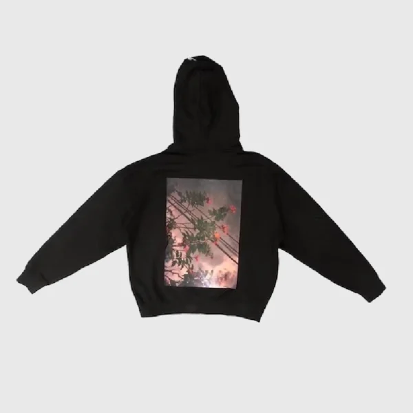 Fear of God Essentials Photo Pullover Hoodie (FW19) (2)